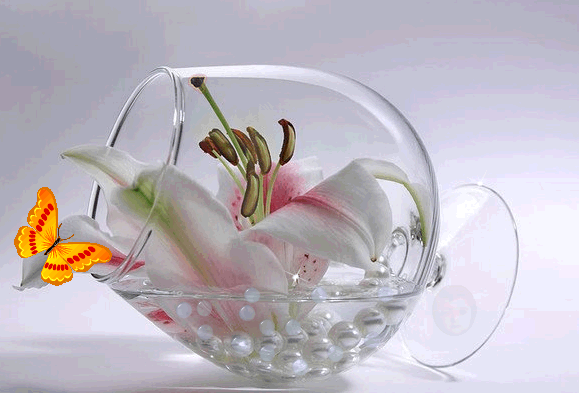 http://www.images-photo.ru/_ph/7/2/264852817.gif